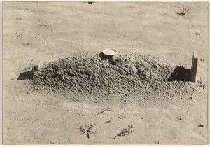 Una tumba baptista, condado de Hale, Alabama de Walker Evans