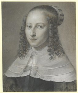  de Wallerant Vaillant
