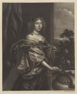 retrato, de, un, mujer, cerca, un, rosal de Wallerant Vaillant