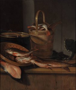 Naturaleza muerta con pescado y un gato de Wallerant Vaillant