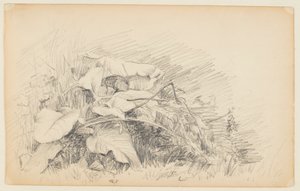 Estudio de hierba y plantas de Walter Clark