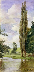 Un poco del Avon de Walter Crane