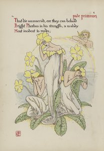 Flores del Jardín de Shakespeare