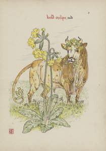 Flores del Jardín de Shakespeare