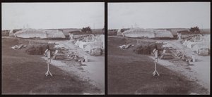 Old Sarum, Salisbury, Wiltshire de Walter Edward Zehetmayr
