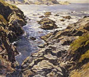 Costa rocosa de Walter Elmer Schofield