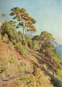 En la Villa Piuma, Sestri Levante, c1910, 1912 de Walter Frederick Roofe Tyndale