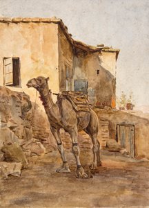Camello atado (acuarela) de Walter Frederick Roofe Tyndale