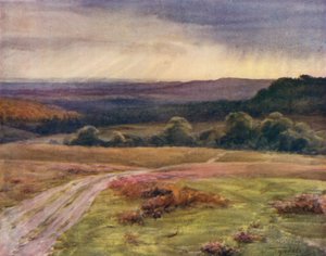 El Nuevo Bosque: Paseo Boldrewood, Puck Pitts, desde el camino Fritham (litografía a color) de Walter Frederick Roofe Tyndale