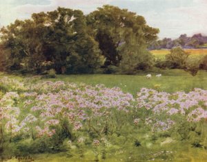 El Nuevo Bosque: Riversdale, Boldre de Walter Frederick Roofe Tyndale