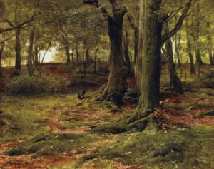 El Nuevo Bosque: The Hill Woods, Lyndhurst de Walter Frederick Roofe Tyndale