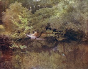 El Nuevo Bosque: El río Lymington en Royden, cerca de Boldre de Walter Frederick Roofe Tyndale