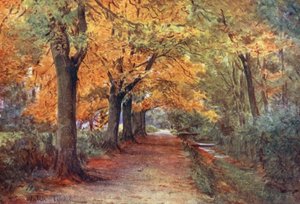 Wessex: Bockhampton Bank, cerca de Dorchester (litografía en color) de Walter Frederick Roofe Tyndale