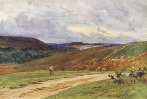 Wessex: The Broadstone Golf Links, cerca de Poole (litografía en color)