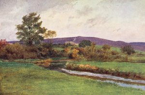Wessex: El "Rainbarrow" del Retorno del Nativo (litografía en color) de Walter Frederick Roofe Tyndale