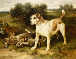 Un fox terrier con la presa del día de Walter Hunt
