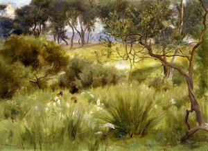 Un bosque en Redesdale de Walter John James