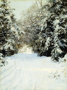 Árboles Cargados de Nieve