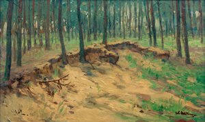 Bosque con cantera de arena