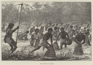 Pesca de Beel en Assam