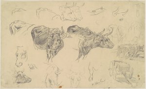 Estudios de bueyes de Walter Shirlaw