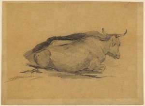 Estudio de una vaca acostada