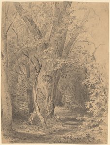 Árbol y follaje de Walter Shirlaw
