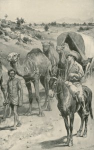 Una Caravana de Camellos, Australia Occidental
