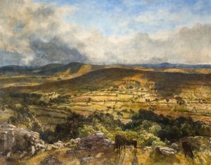 Widecombe en el páramo, Devon