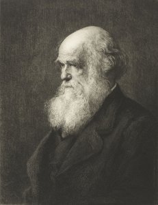 Charles Robert Darwin de Walter William (after) Ouless