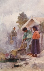 Nueva Zelanda: Cooking in a Hot Spring (litografía en color) de Walter Wright