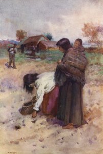 Nueva Zelanda: Plantando patatas (litografía en color) de Walter Wright