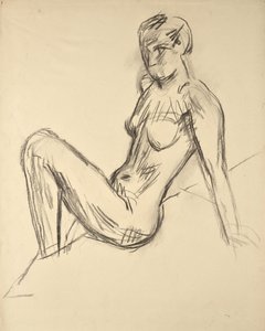 estudio de desnudos de Walther Gamerith