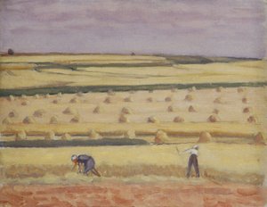 Durante la cosecha