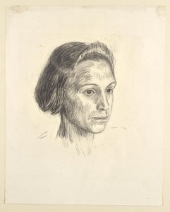 Retrato de una dama de Walther Gamerith