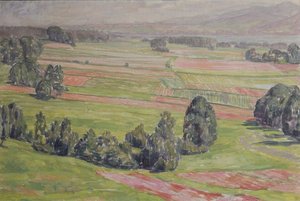 Campos en el Mattsee de Walther Gamerith