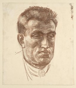 Retrato de un caballero de Walther Gamerith