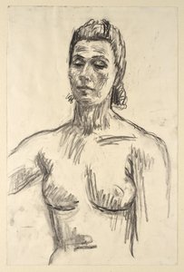 Semidesnudo femenino de Walther Gamerith