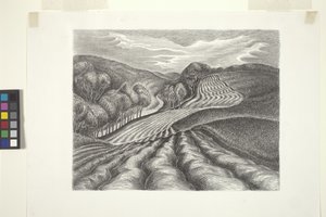 Campos arados (tinta, lápiz) de Wanda Gág