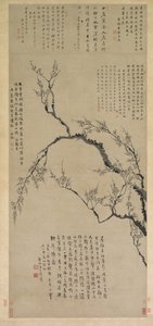 Plum Blossoms