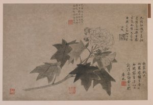 Hibisco, 1347 de Wang Yuan