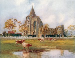  de Warwick (after) Goble