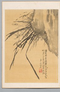 Orchid de Watanabe Kazan