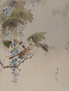 Aves y flores, ca. 1887 de Watanabe Seitei