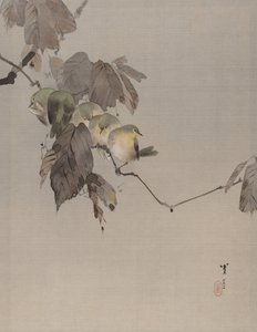 Pájaros en una rama, ca. 1887 de Watanabe Seitei