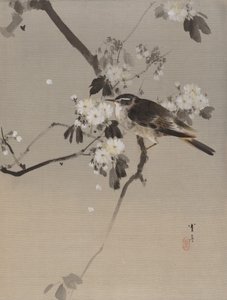 Pájaros en una rama florida, ca. 1887 de Watanabe Seitei