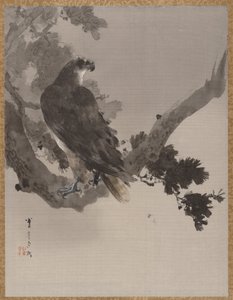 Águila en un árbol, ca. 1887 de Watanabe Seitei
