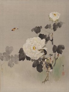 Rosas, pájaro joven y una mariposa