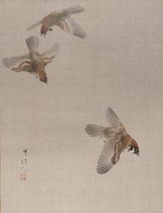 Gorriones volando, ca. 1887 de Watanabe Seitei