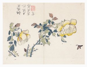 Jardín de semillas de mostaza de Wen shu Chao